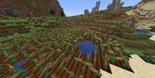 test picture