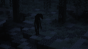 The Blind Wanderer