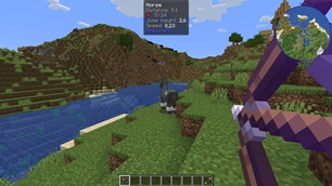 TheHealBow_screenshot_1.jpg