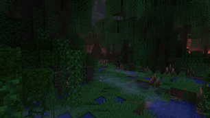 Swamp