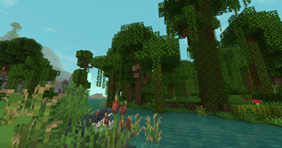 Jungle