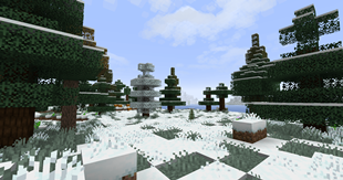 Snowy Taiga