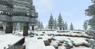 Snowy
