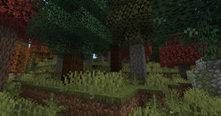Boreal Forest