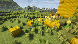 Pika Pumpkins