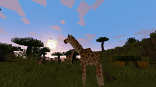 Girafas