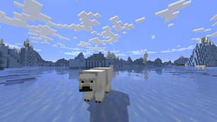Shaders Inclusos