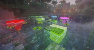 Flower Path