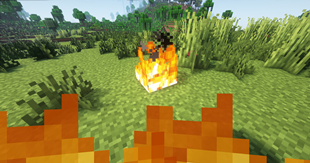 Fire instant damage