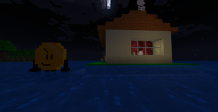Coiny at the Sea with a House