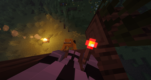 Hunted