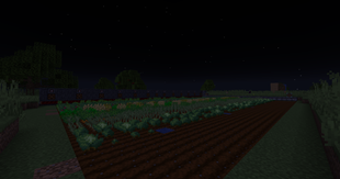 Food Farms