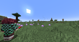 Vast Lands