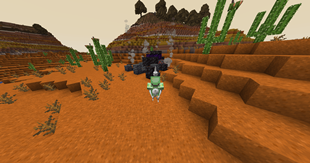 Crater