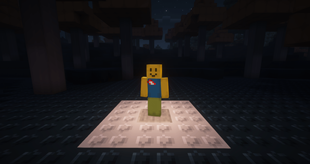 Noob
