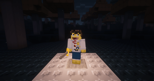 Shedletsky