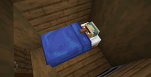 Villager sleeping in a blue bed