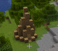 Forest hideout