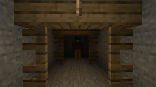 duck mineshaft