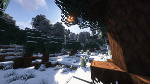 Snowy Chestnut Forest from the Windswept mod!