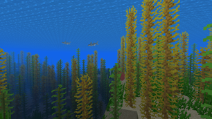 sea
