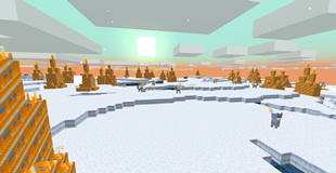 Wonder Tundra