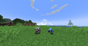 panorama_overlay.png