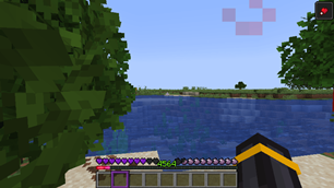 The purple Pack
