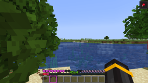 The magenta Pack