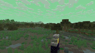 Swamp
