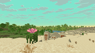 Desert