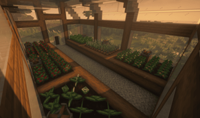Greenhouse