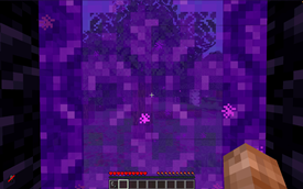 'Going Through' Nether Portal