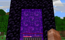 Throwing Ender Pearl at Nether Portal 2