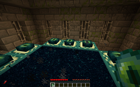 'Going Through' End Portal