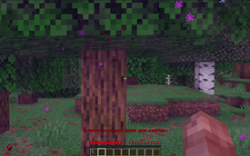 'Going Through' Nether Portal 2