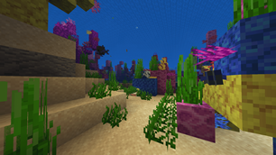 Under the sea