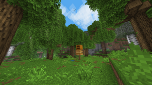 Day in the forest
