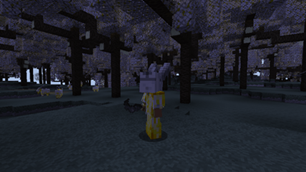 armor.png