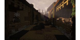 Horse Stables