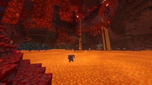 A glimpse into the nether