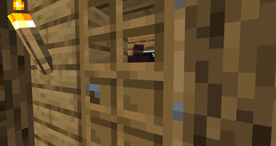 SCP-303 behind a door