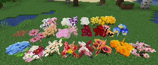 showcase.png