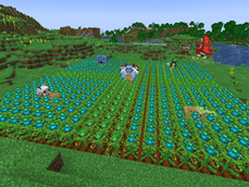 Gardening