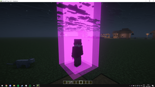 NiceTeleports1-min.png