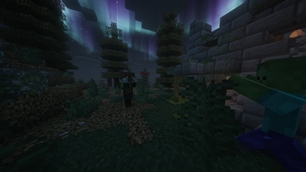 A Undead Hunter fighting a Zombie