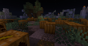 Pumpkin_Patch_At_Night.png