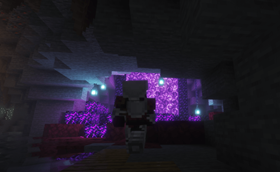 Portal