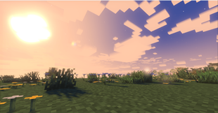 plains