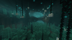 Another cave in the Deep Dark, this one is more circular